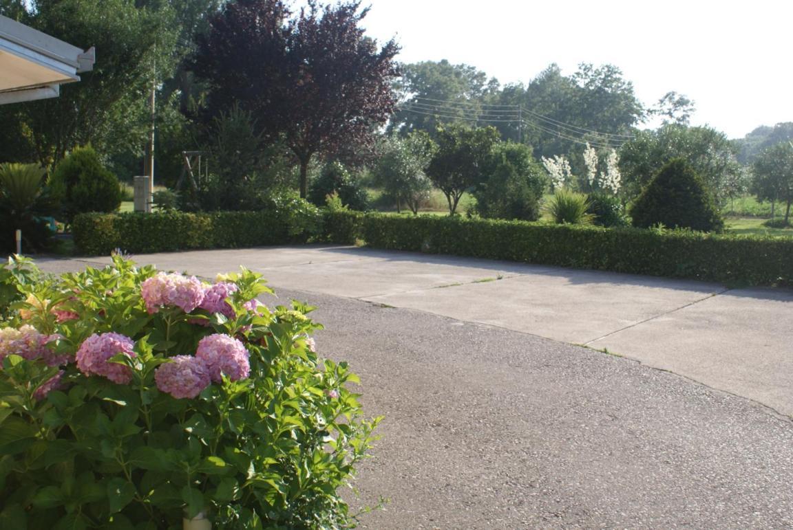 Helena'S Sweet Home Улцинь Екстер'єр фото